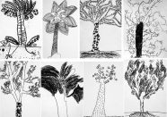 Arbres singuliers