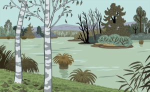 illustration Lac de Save