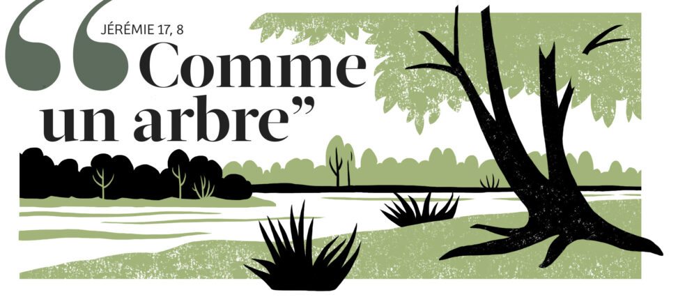 Bayard Presse_Cahiers Prions en église_illustration spirituelle_Catherine Chion