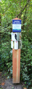 illustrations naturalistes_sentier d'interprétaion_espaces naturels sensibles_Catherine Chion_Centre d'observation de la nature de l'île du beurre17