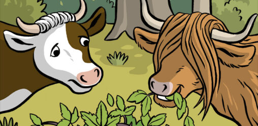 Illustration de vaches mangeant des ronces
