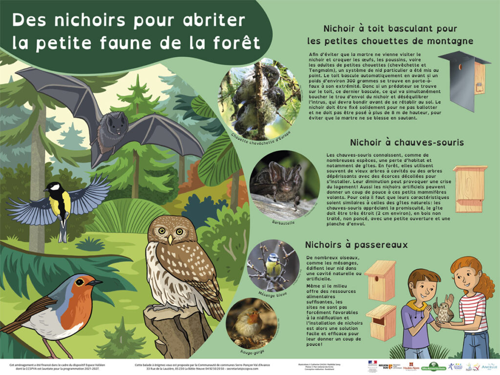 Panneaux avec dessins d'espèces nichant dans une forêt