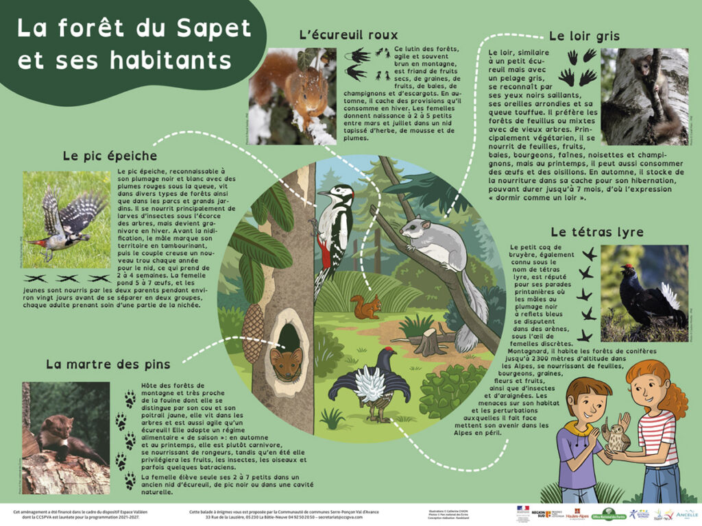 panneau qui décrit des animaux habitant dans la forêt du Sapet