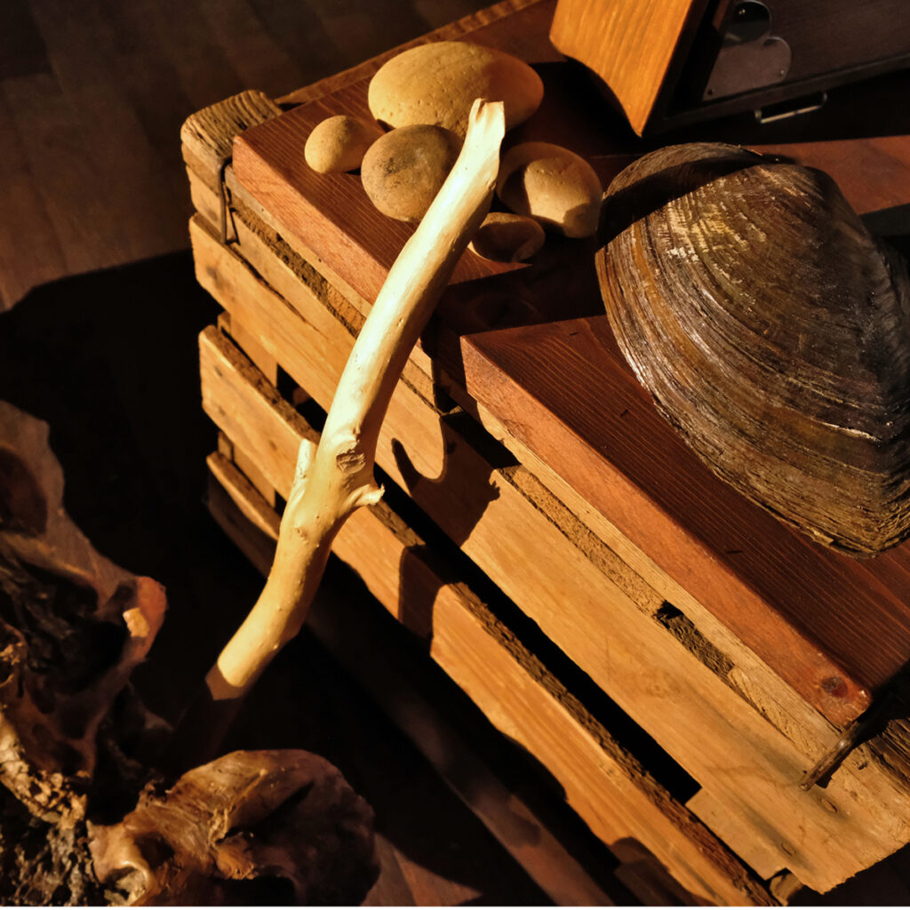 Spectacles de contes et de kamishibaïs 13 photos de galets, coquille de moule, bois flottés