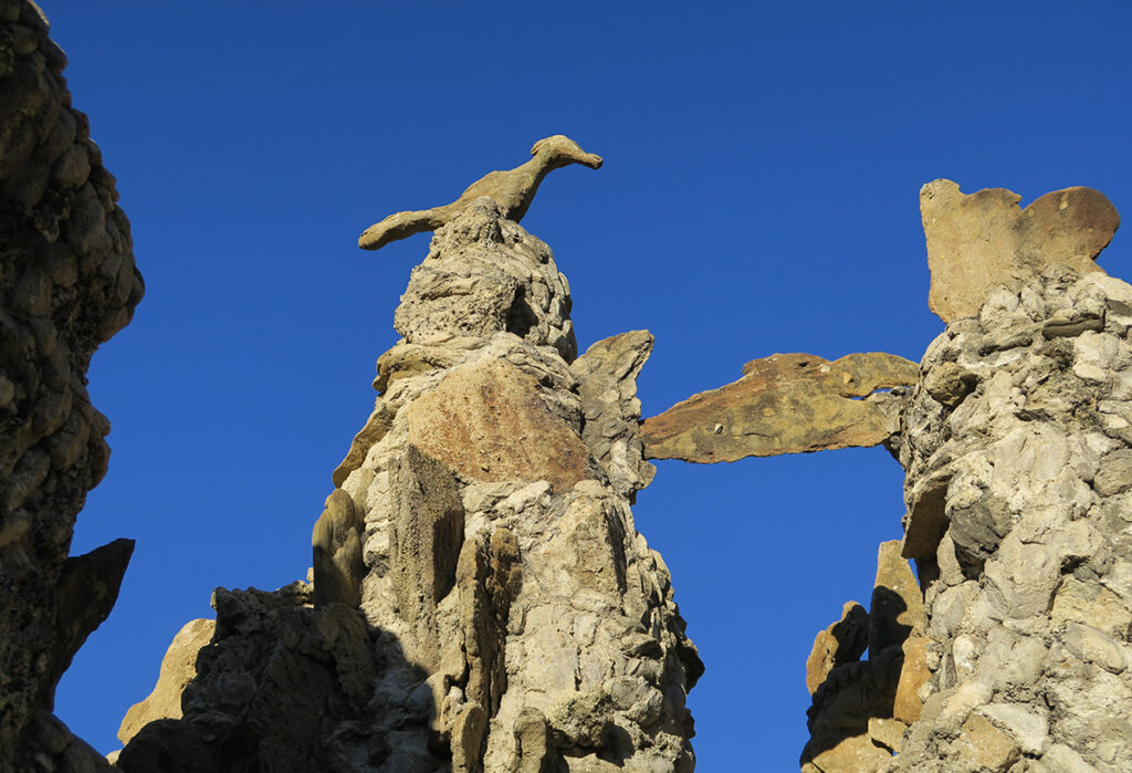 photographie d'un oiseau de pierre au palais du facteur Cheval